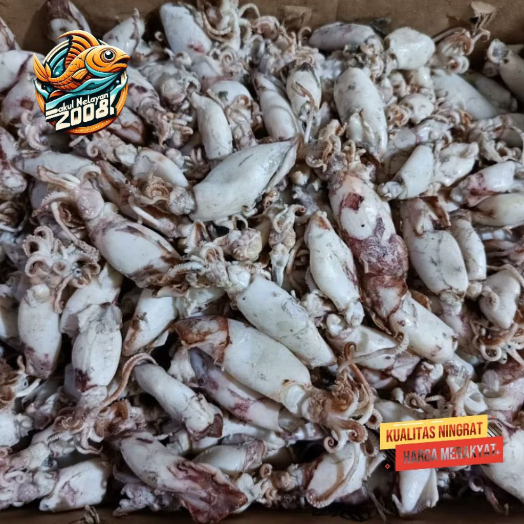 cumi asin | asin cumi | ikan asin cumi