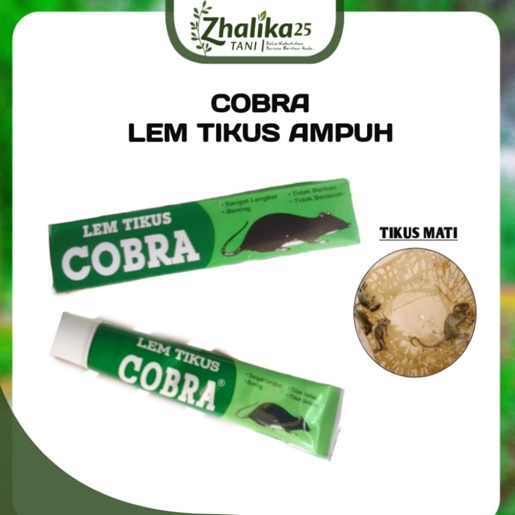 COBRA LEM TIKUS AMPUH 100% Cocok untuk perangkap burung cicak hama pengganggu