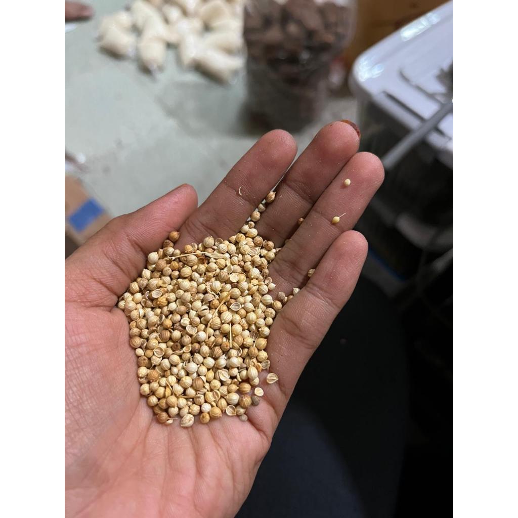 

Ketumbar Biji Utuh Bumbu Masakan Rempah Rempah