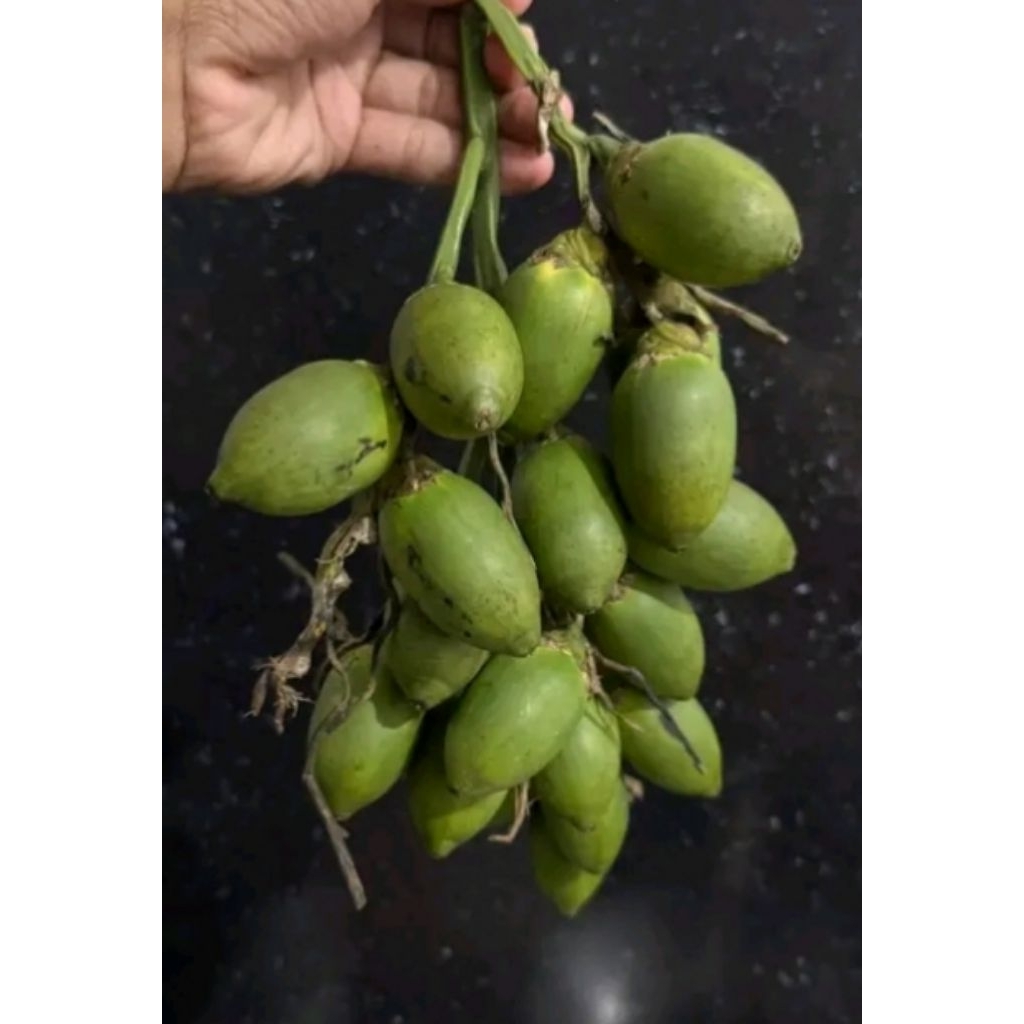 

BUAH PINANG MUDA 500 GR