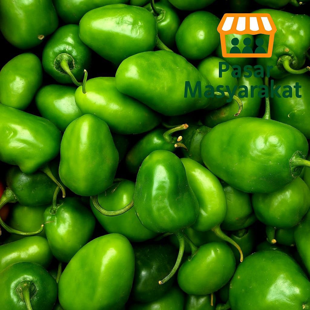 

Cabe Gendot Cane Bendot 200 Gram Pasar.Masyarakat