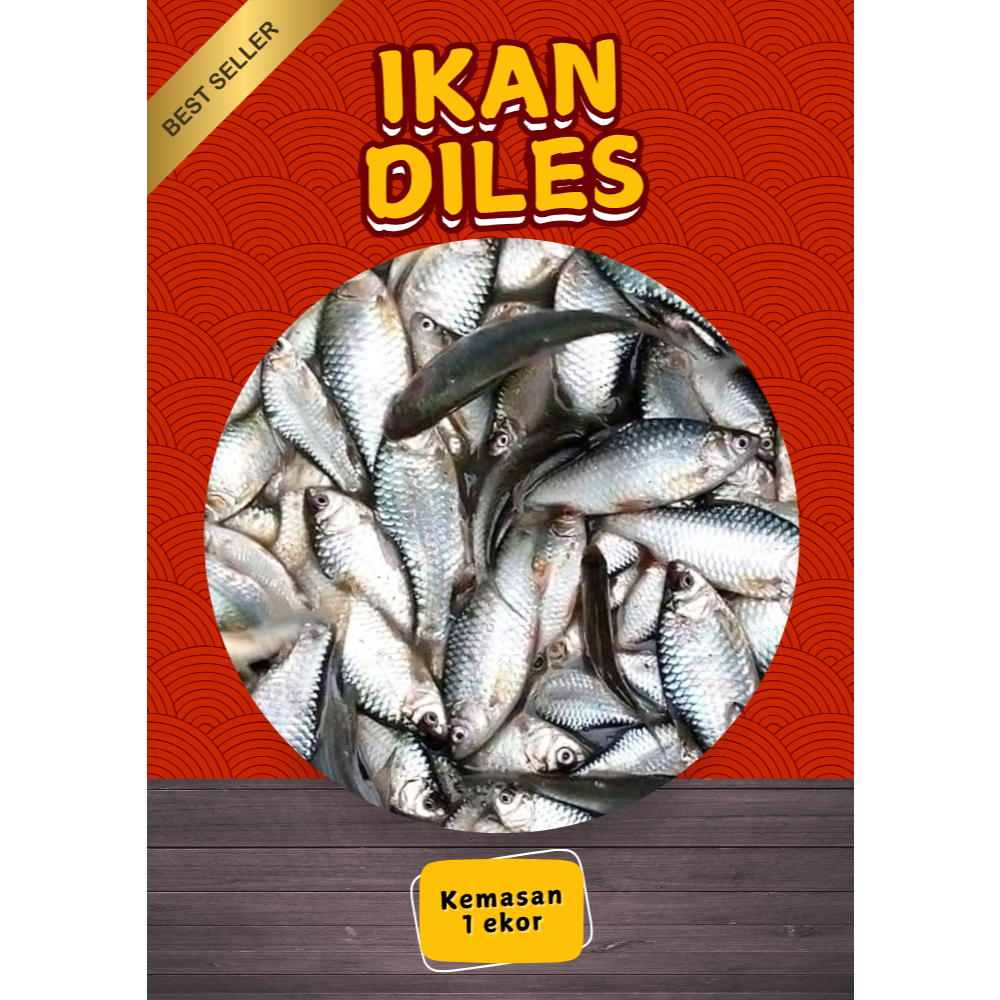 

Serbu makanan siap santap !!! IKAN DILES JUMBO Frozen Fresh Sudah dikemas Vacum Pack