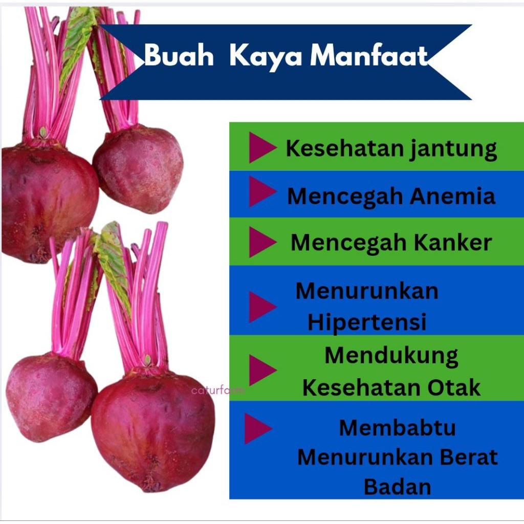 

BuahbitSegar1kg Beet root kualitas super bisa Grosir