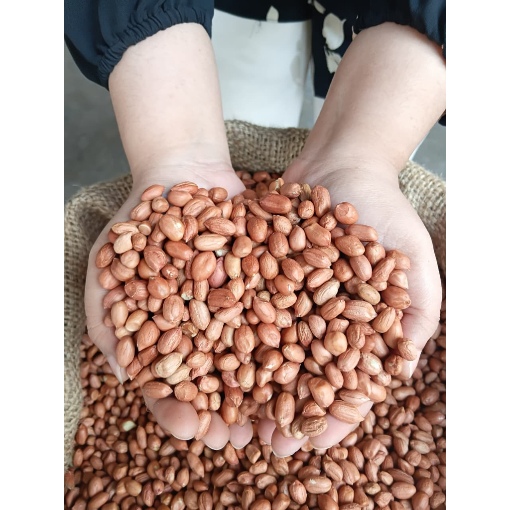 

Kacang Tanah Import India Kualitas Super Ukuran Besar/Kecil Kemasan 1 Kg