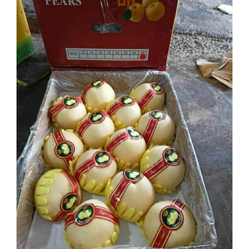 

Pier singo korea super jumbo