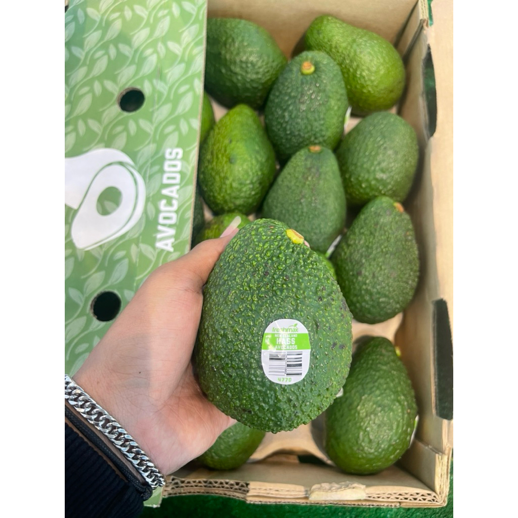 

Alpukat Hass Australian | Avocado Australian Fresh 500gram