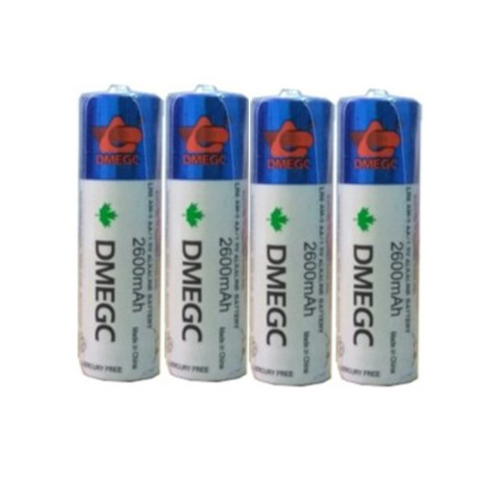 Baterai Besar AA DMEGC Isi 4