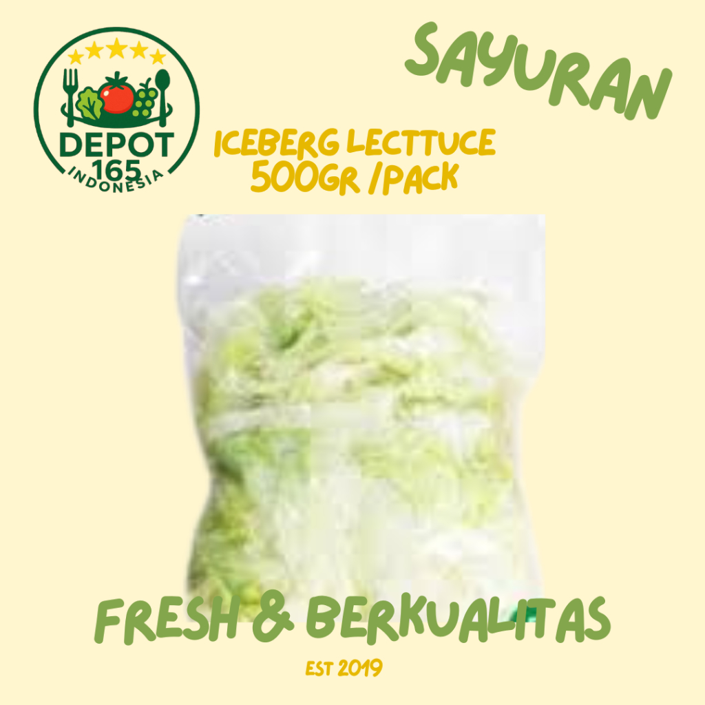 

Iceberg Lettuce Pack 500gr / Lettuce Praktis / Sayur Surabaya / DEPOT 165 INDONESIA MART