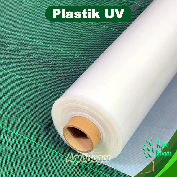 Best Plastik UV Lebar 6 Meter, Plastik UV Eceran