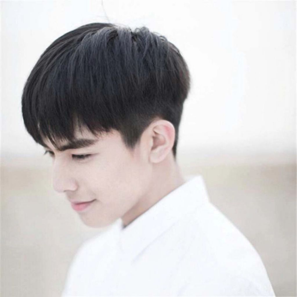 Wigs Murah Pendek 01 / Wig Korea Pria Terbaru