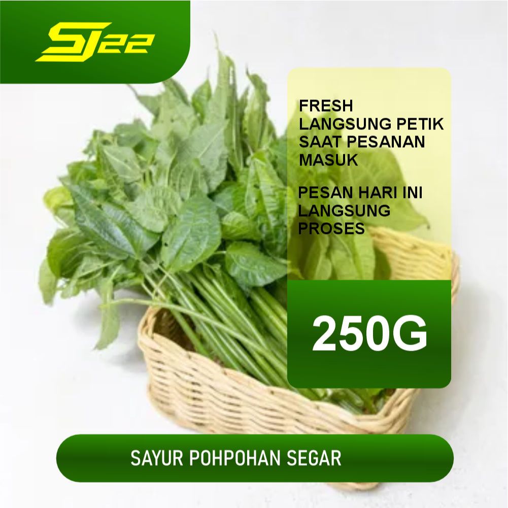 

Daun Pohpohan 1 ikat 250Gram Segar siap santap