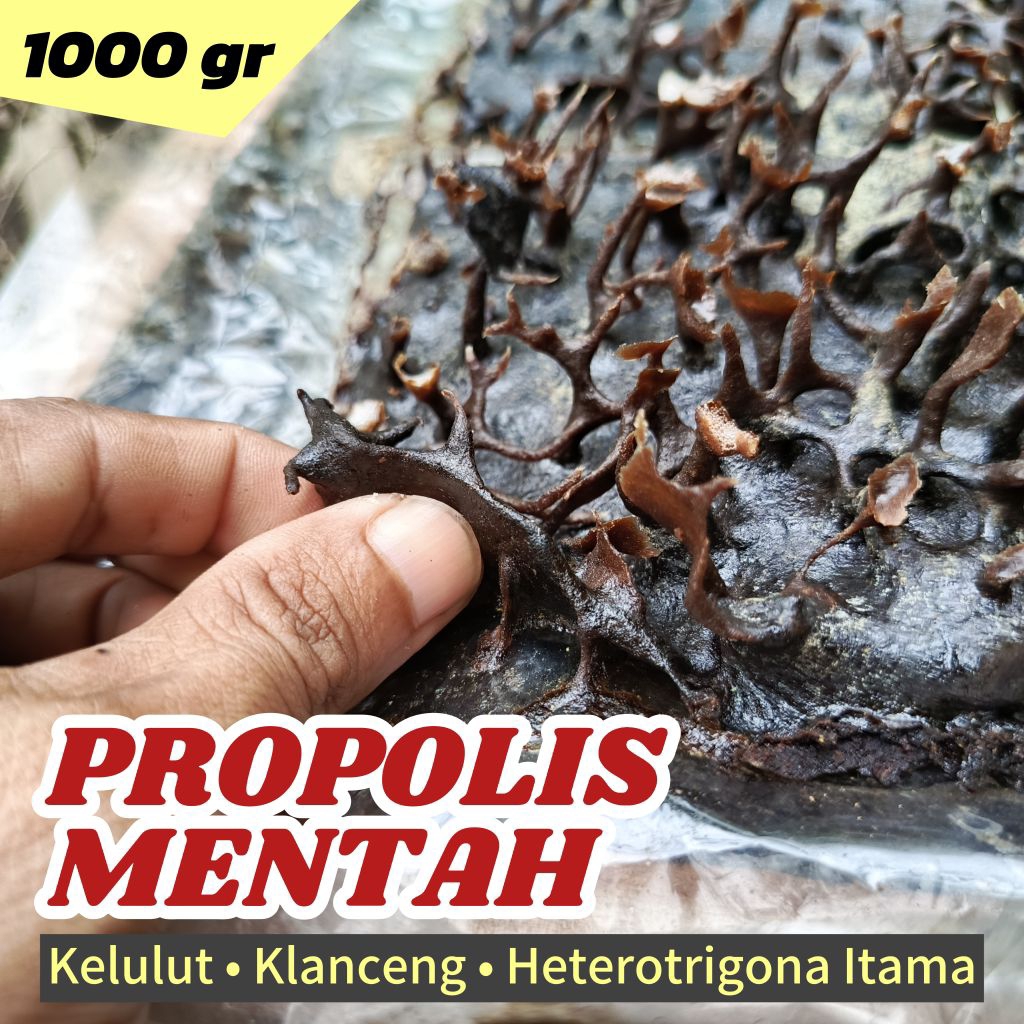 Propolis Mentah Trigona Itama (1Kg) Murni 100% dari Sarang Hutan Kalimantan