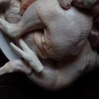 

KARKAS AYAM BROILER 0,5 - 0,6 Kg (AYAM FROZEN, AYAM NEGRI, AYAM KARKAS BEKU)