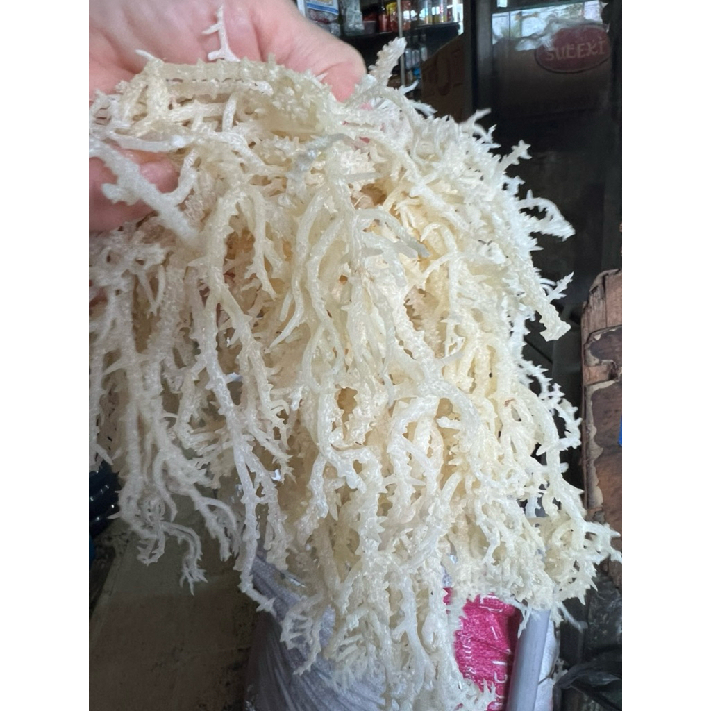 

Rumput Laut Cottoni kering putih normal 500 gram