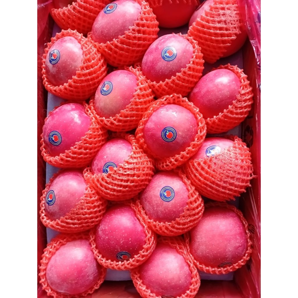 

APEL FUJI PREMIUM (1kg)