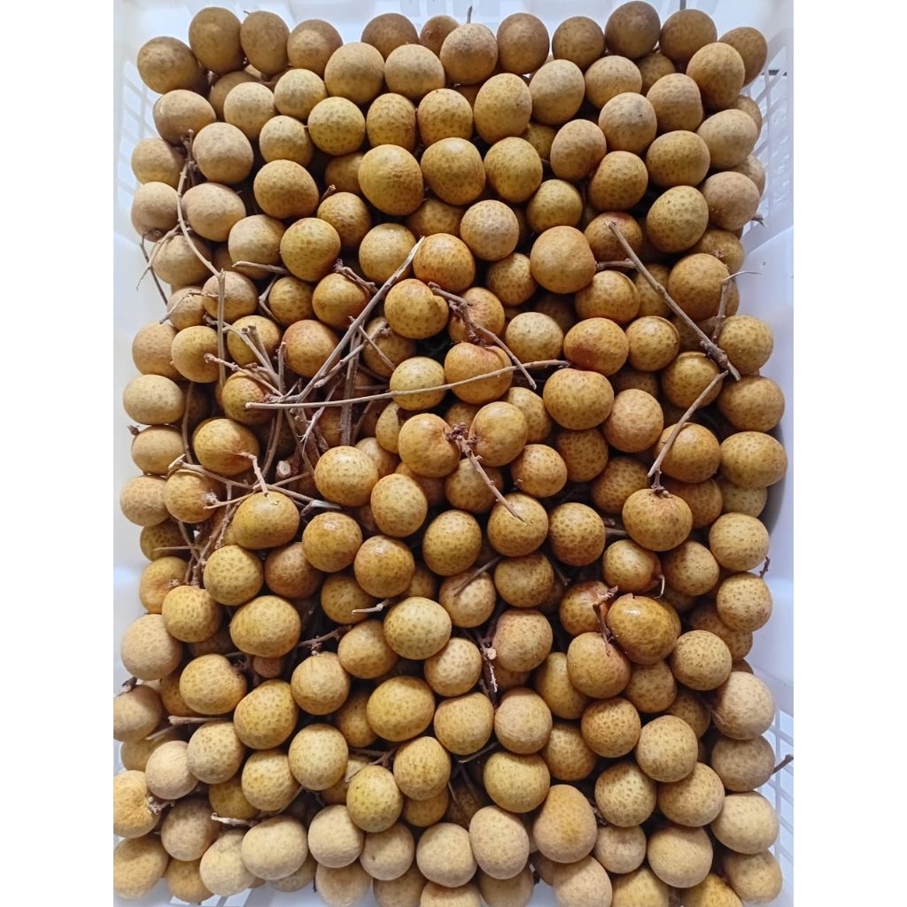 

KLENGKENG BANGKOK SUPER (1kg)