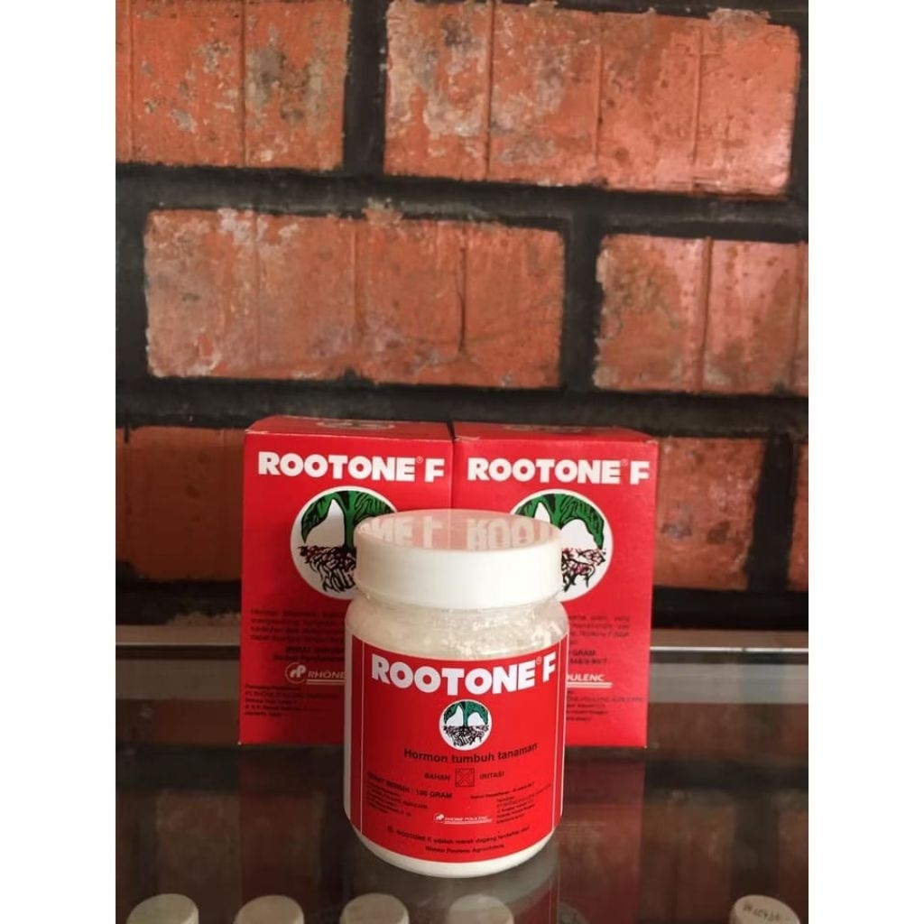 Rootone F 100gr Hormon Pertumbuhan Akar