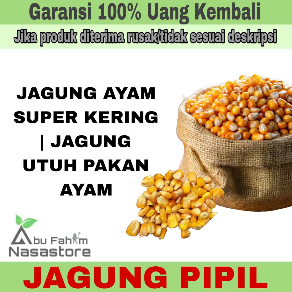 JAGUNG PIPIL JAGUNG AYAM SUPER KERING | JAGUNG UTUH PAKAN AYAM |500GRAM & 1KG
