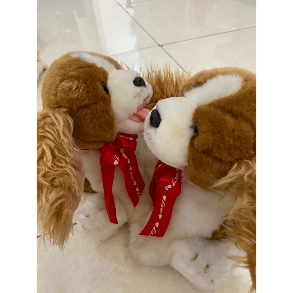 Boneka Doggy