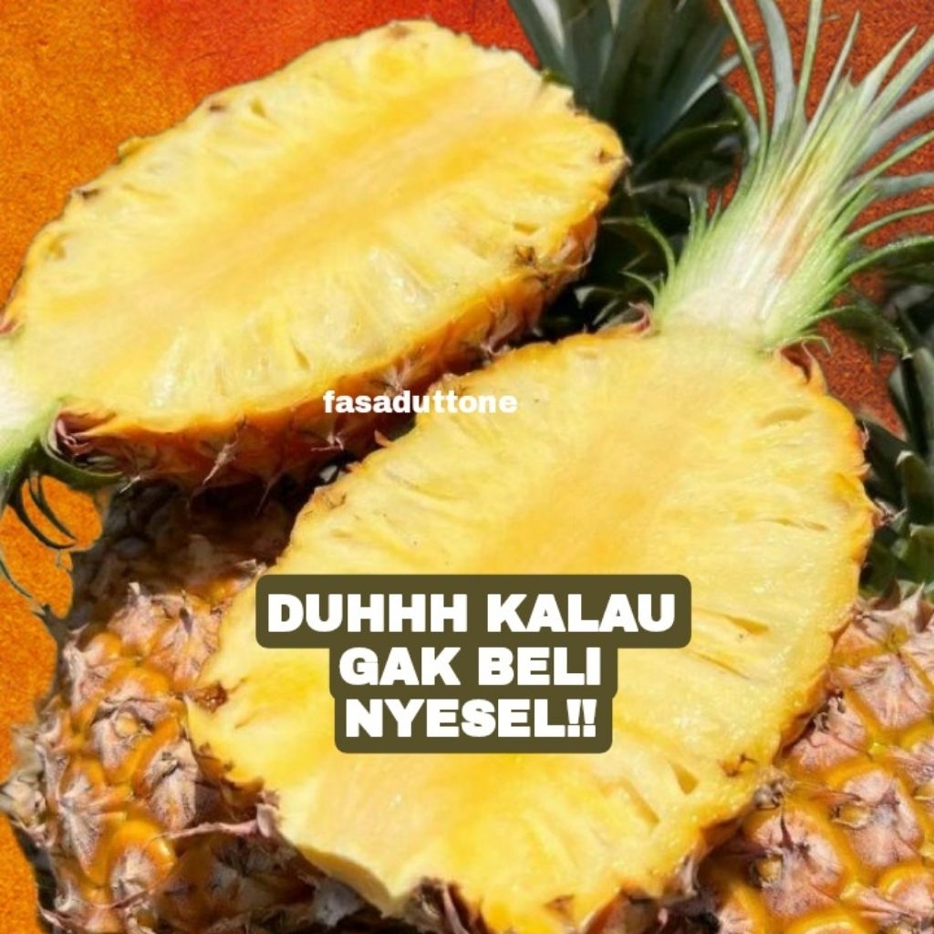 

nanas madu, jumbo, manis banget, fresh dari pohon, halal, produk unggul, kualitas terjamin