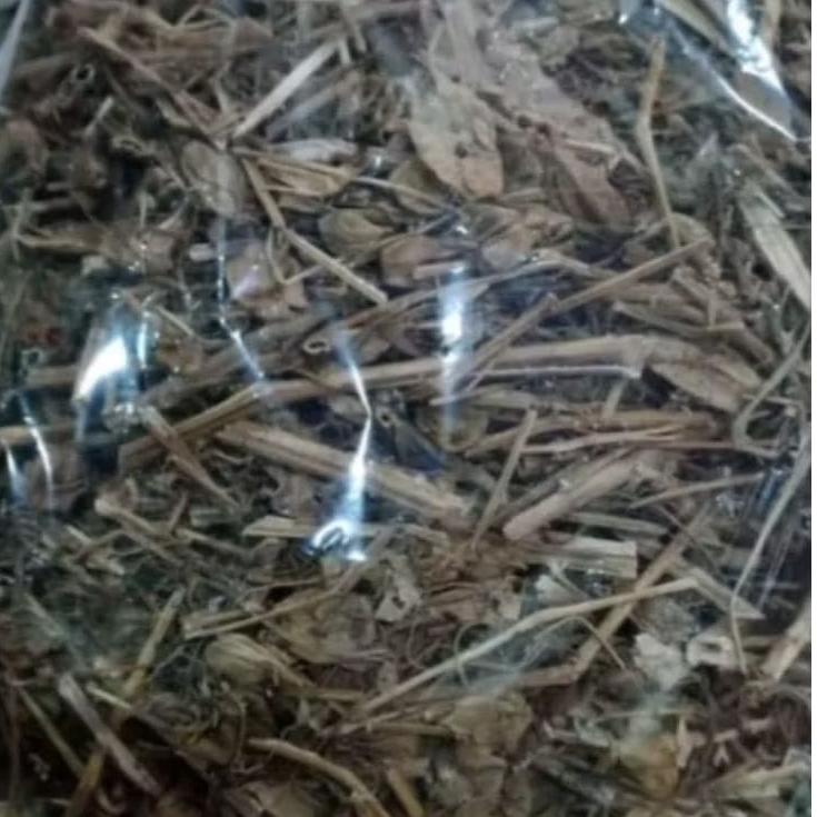 

Daun Ciplukan (Cecenet) Kering 500 Gram Akar batang dan daun kumplit
