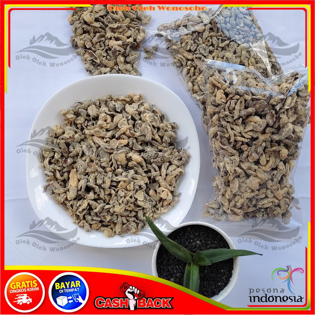 

Keripik Jamur Kancing Khas Dieng