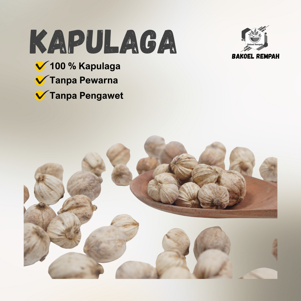 

Kapulaga Jawa Asli - Bakoel Rempah