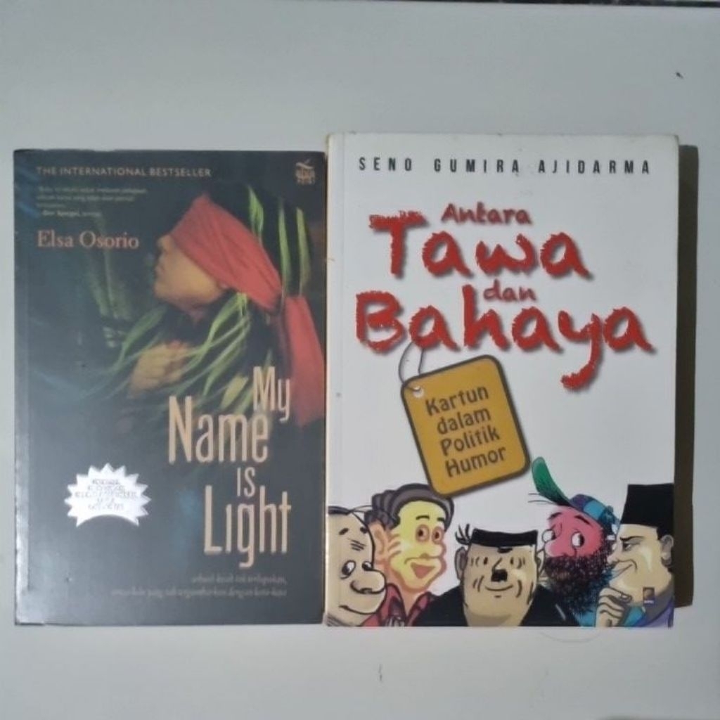Antara Tawa dan Bahaya by Seno Gumira Ajidarma | My Name is Light by Elsa Osorio | Preloved Terjemah