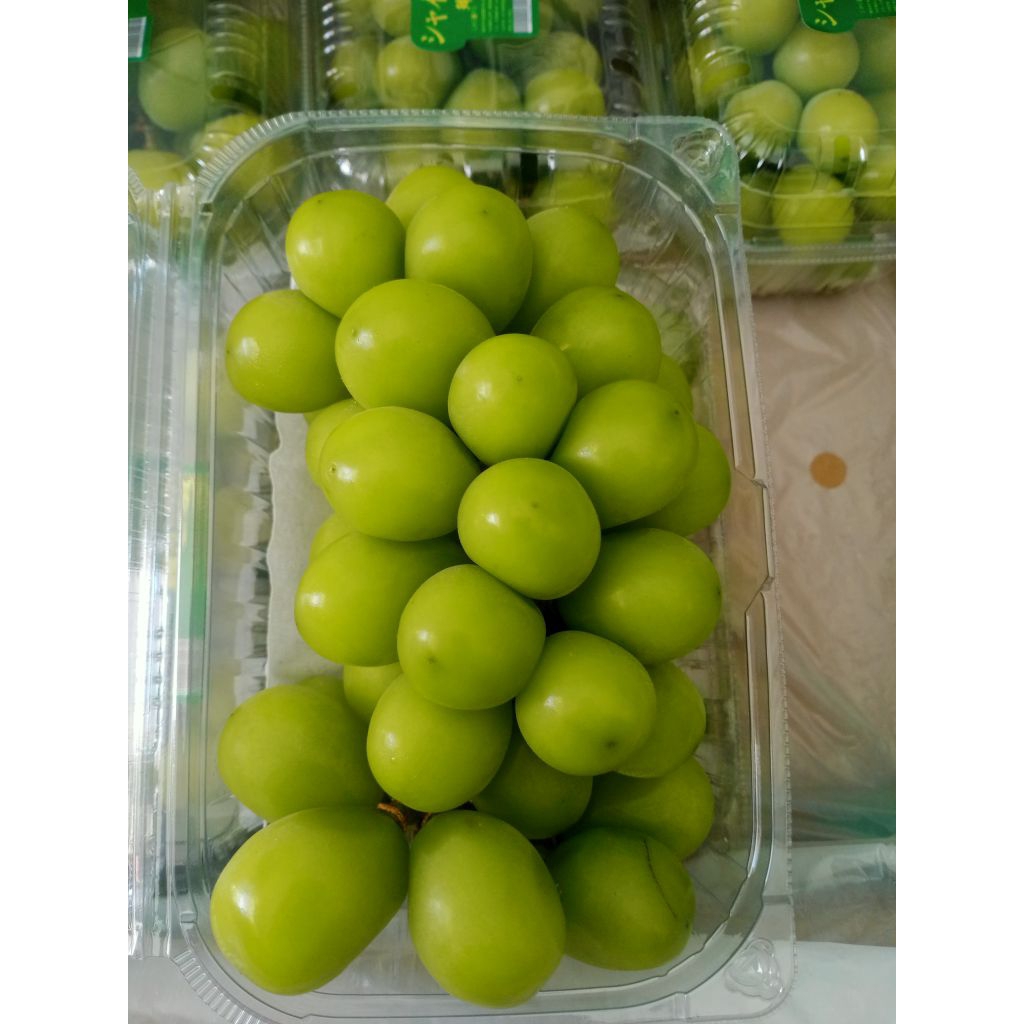 

Anggur Shine Muscat Pack | 500gr