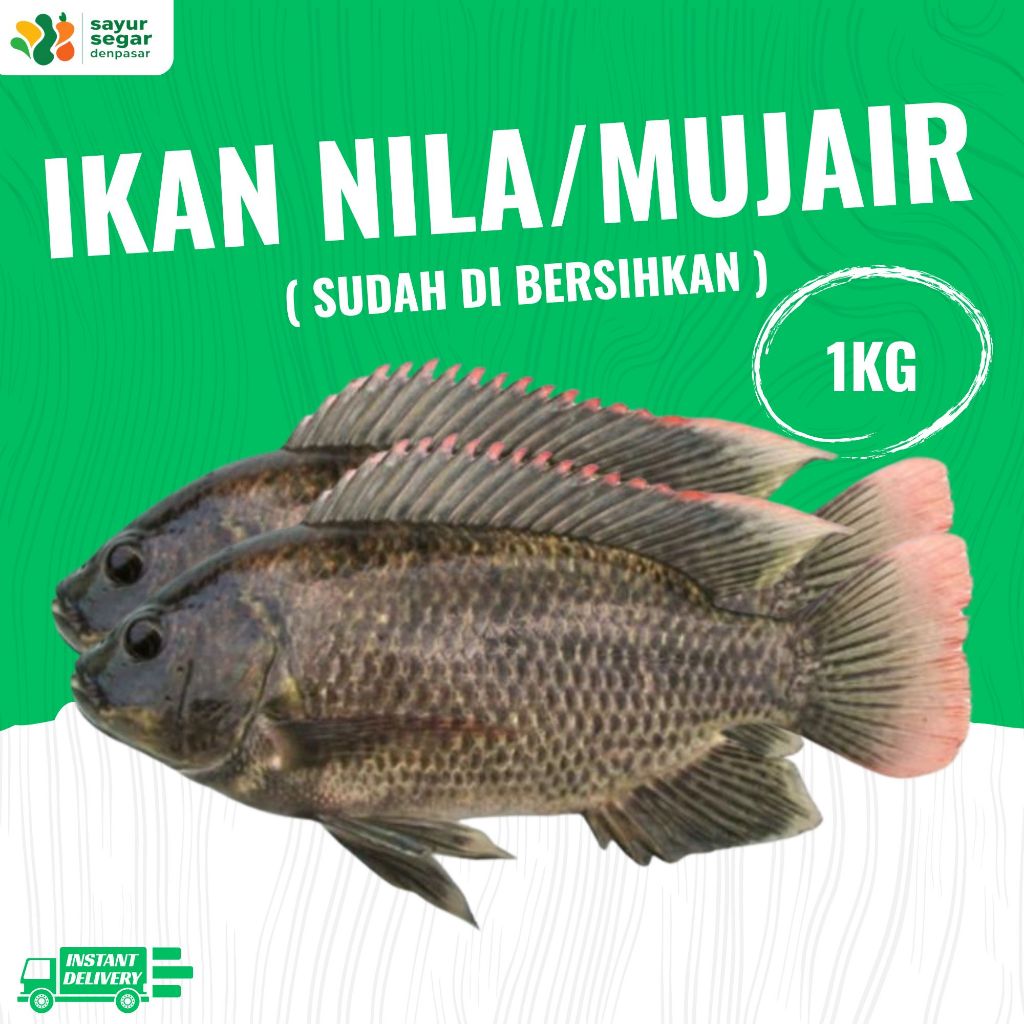 

Ikan Nila/Mujair ( Sudah Bersih) 1kg - Sayur Segar Denpasar