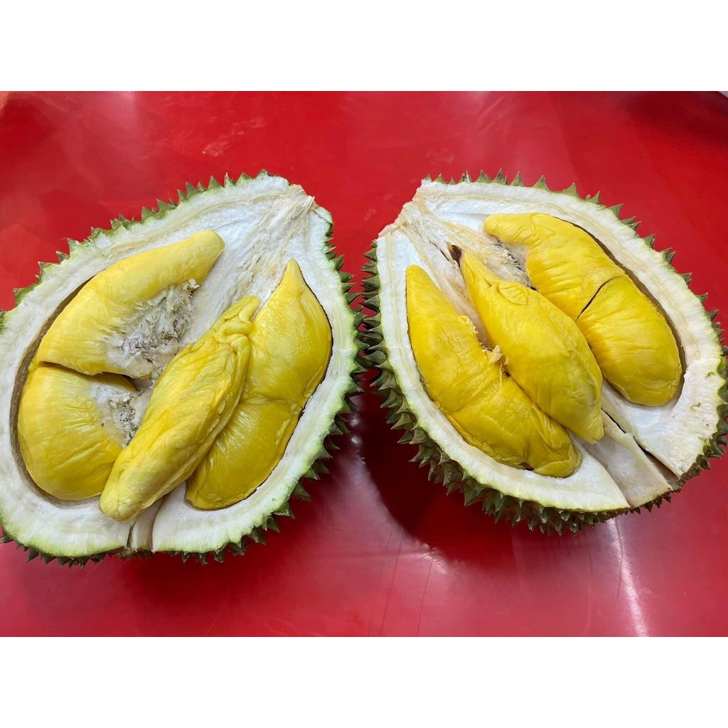 

DURIAN MONTONG SULAWESI BERAT UTUH 2Kkg