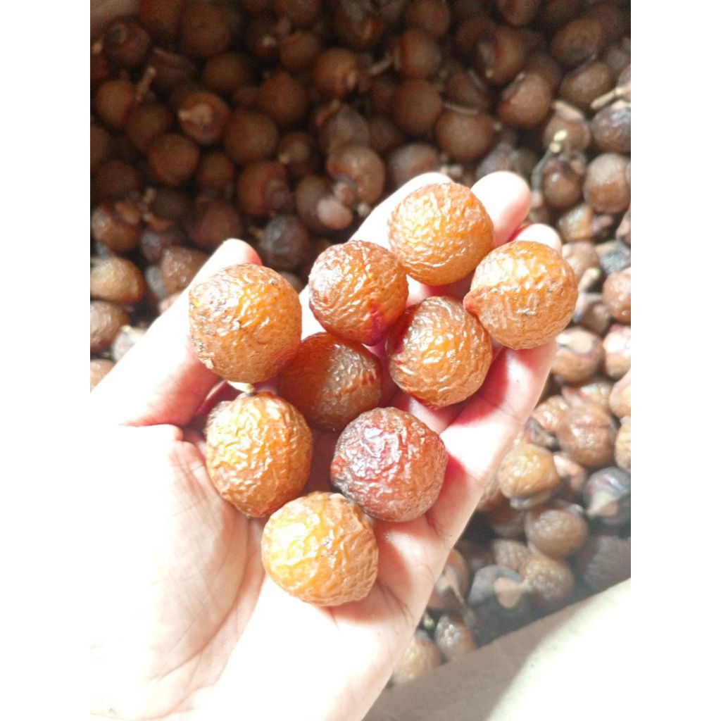 

buah lerak utuh masih ada biji 500g