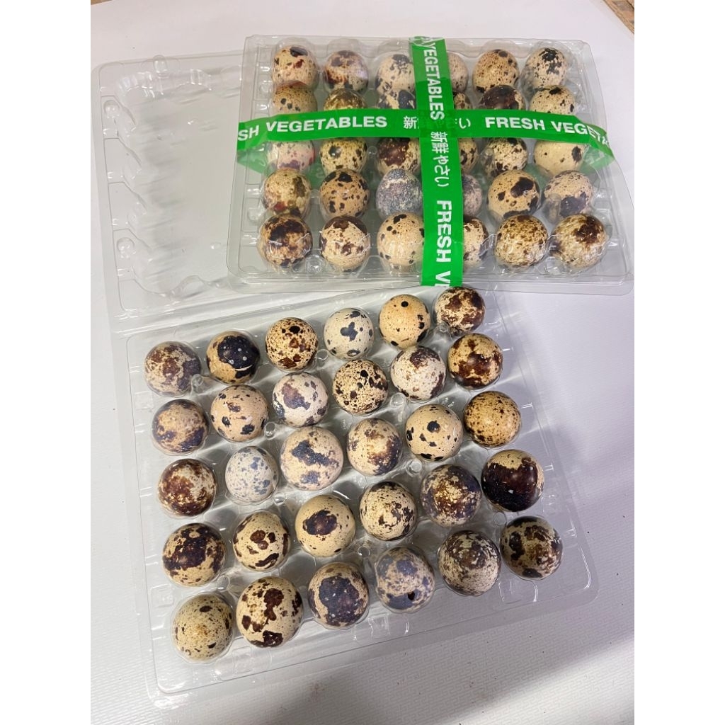 

Telur puyuh _ 30 butir