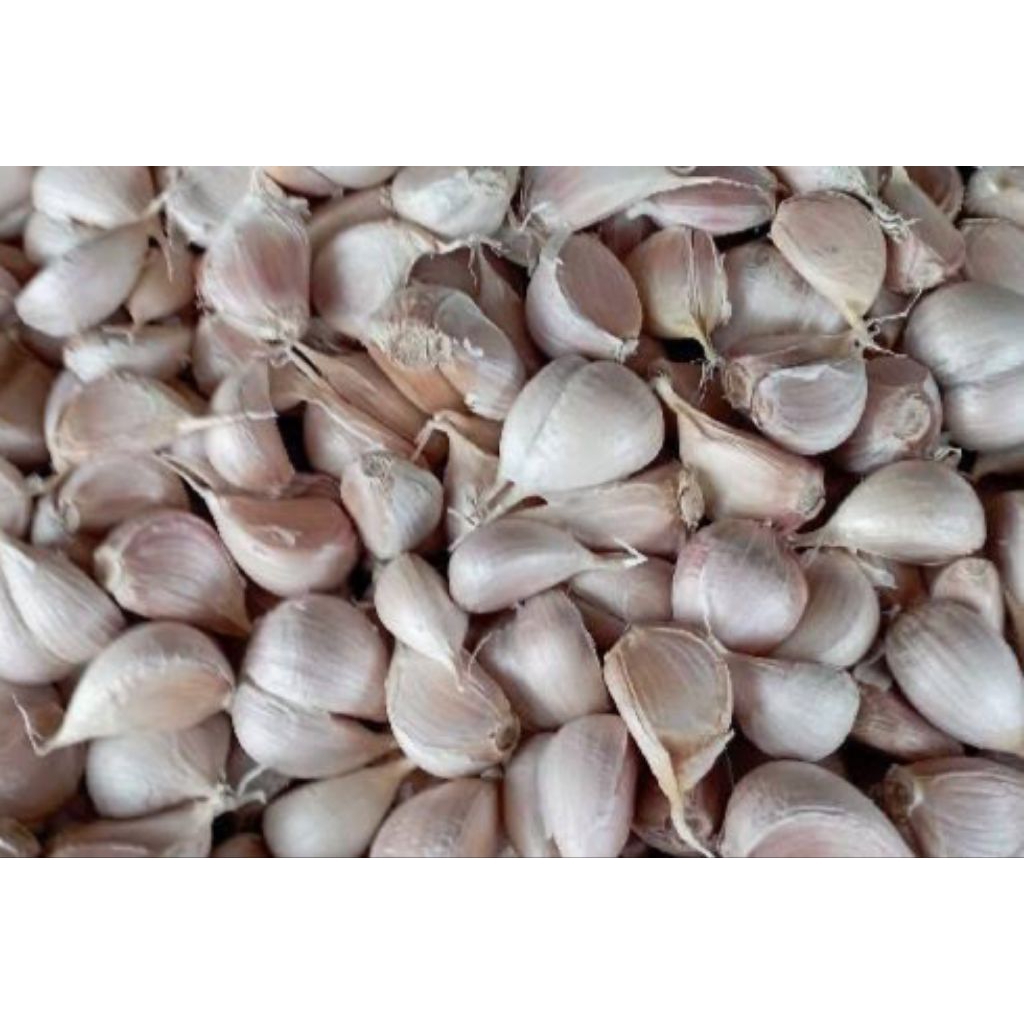 

Bawang Putih Kating Bersih 250 g