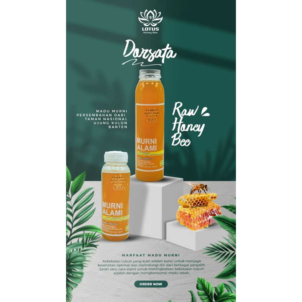 

KAWAO - Madu Hutan Murni Asli 100% Tanpa Campuran Dorsata Trigona Mellifera Cerana 1300 Gram