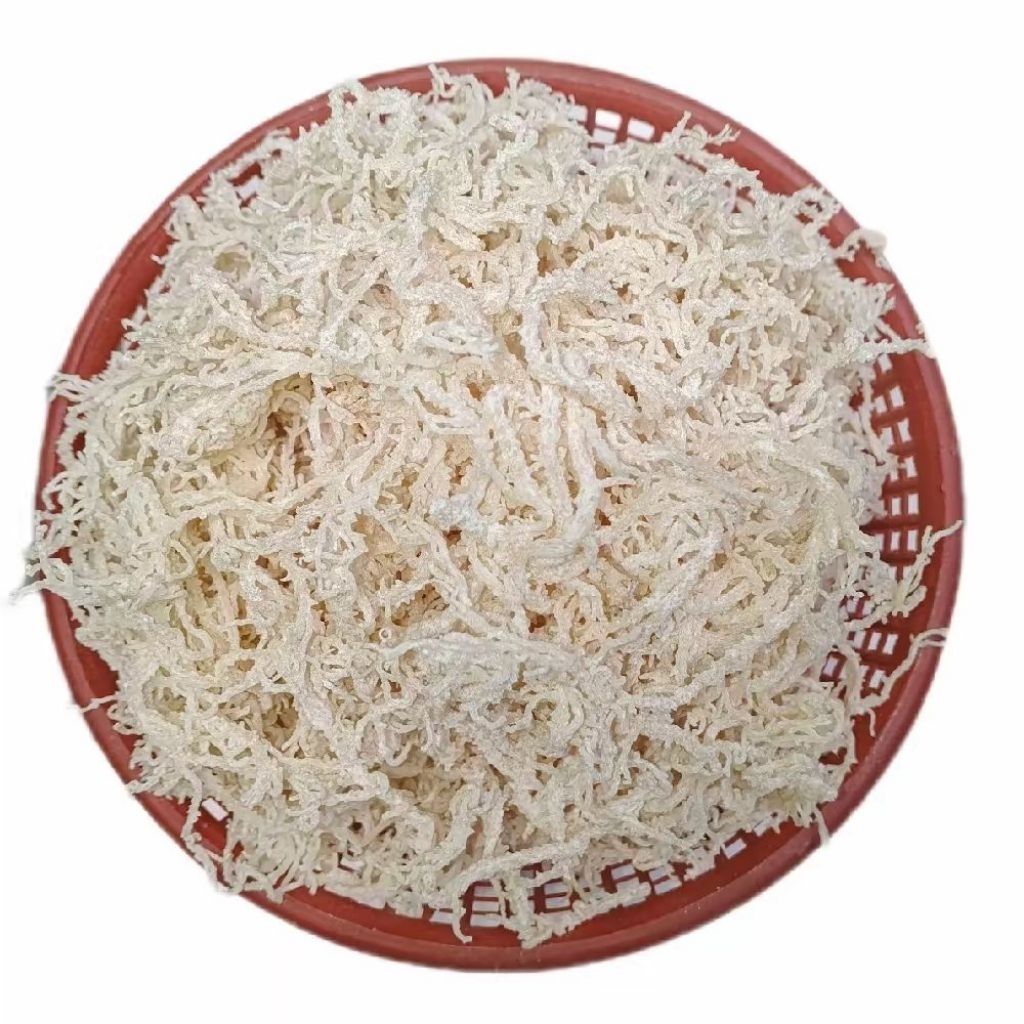 

Rumput Laut Kering 1kg Rasa Tawar Tidak Asin Atau Amis Laut Cocok Untuk Es Campur