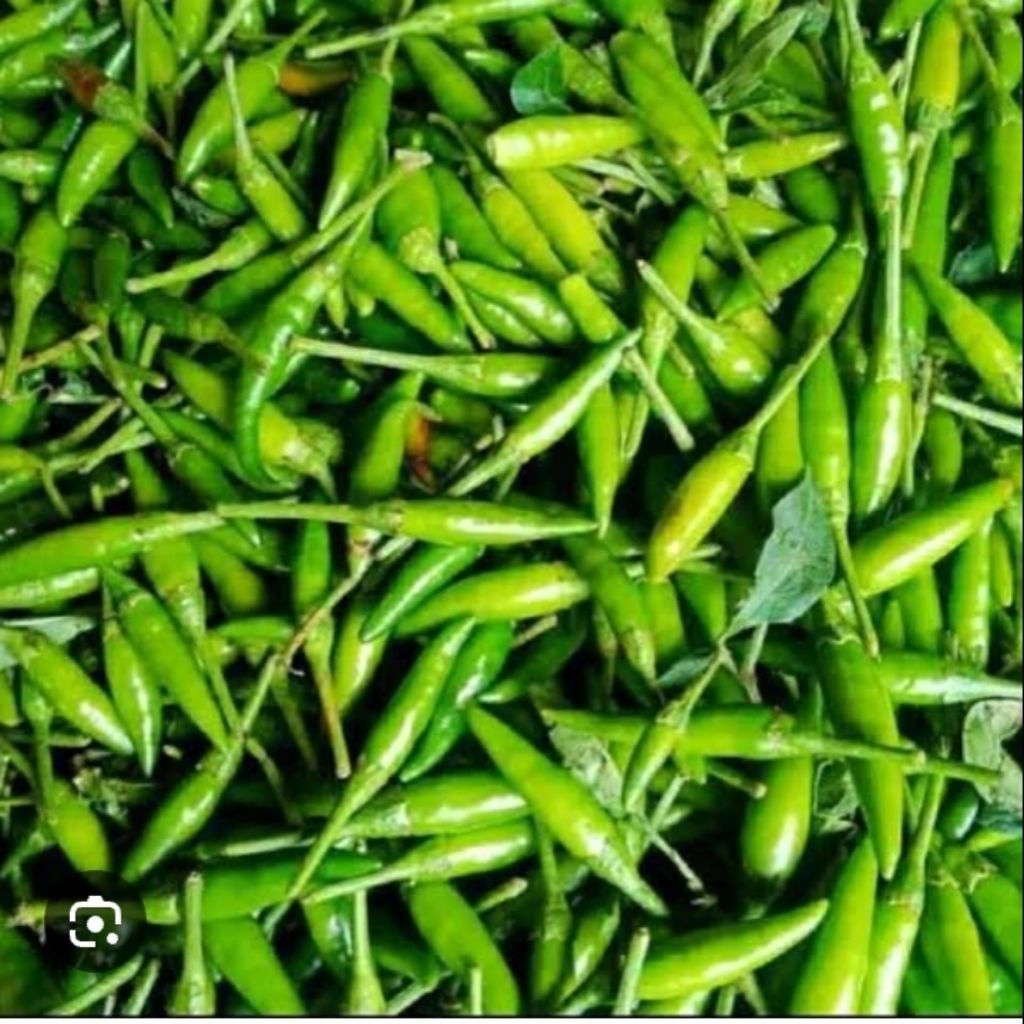 

100g cabai rawit hijau