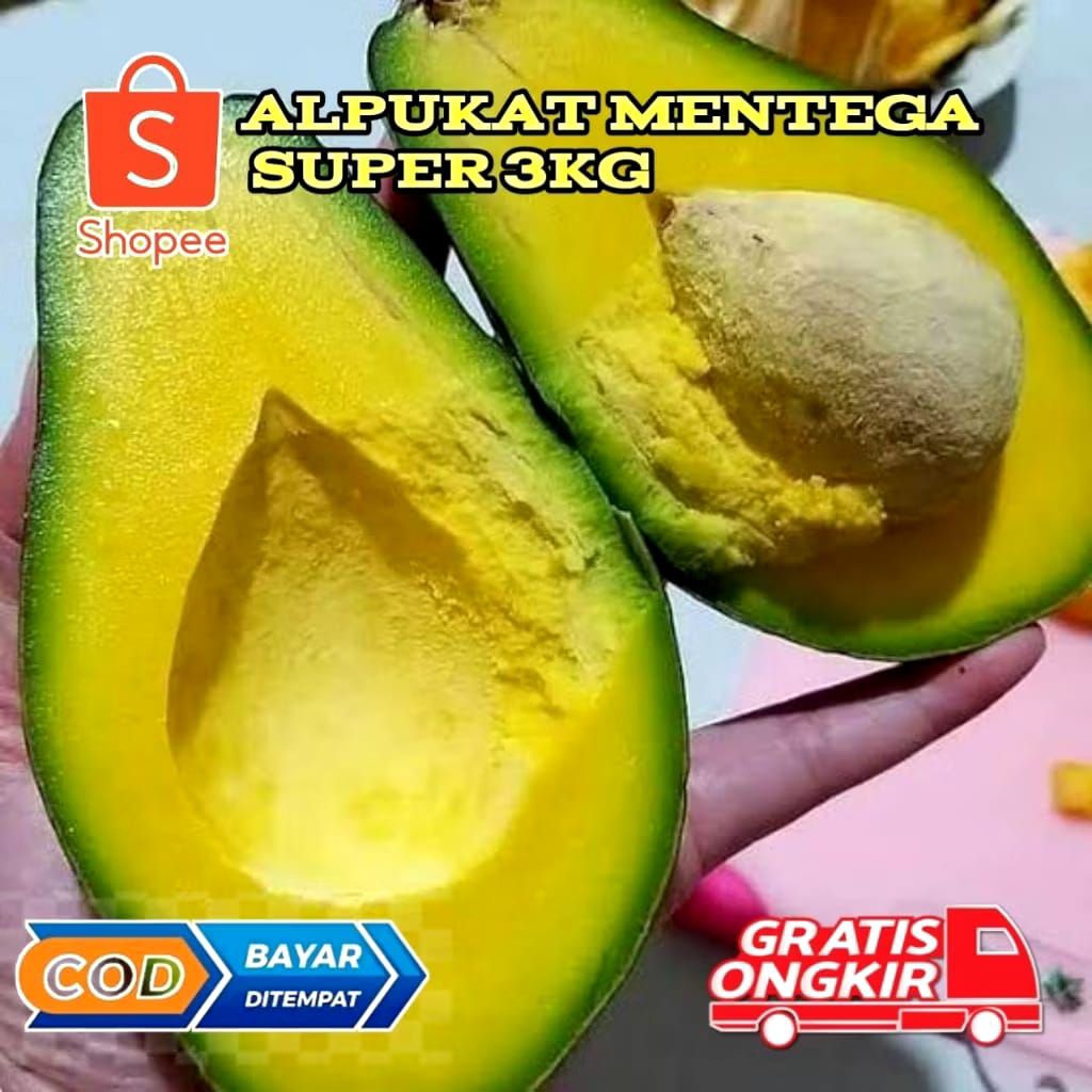 

Alpukat mentega super mewah berat 3kg/3000gram kualitas supermarket kami Kirimkan dengan keadaan mentah