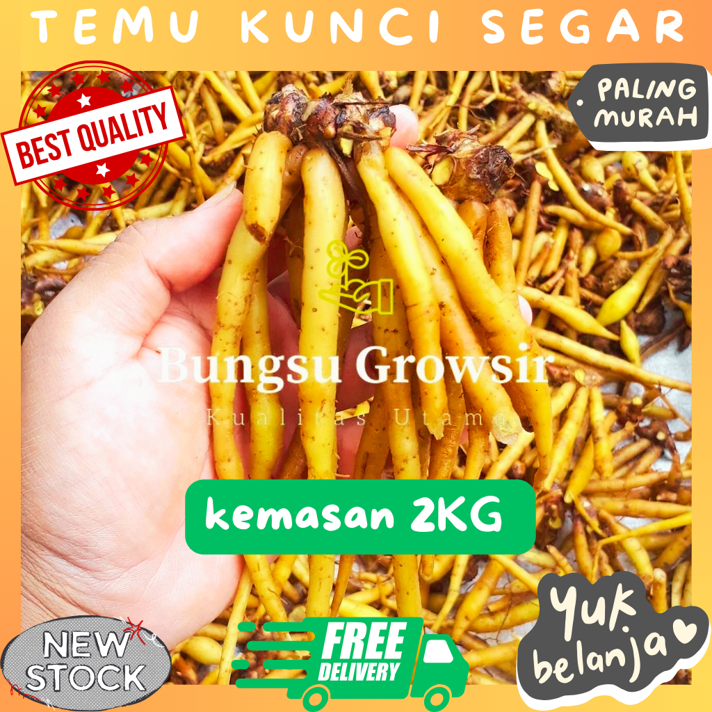 

Temu Kunci Segar Paket 2KG