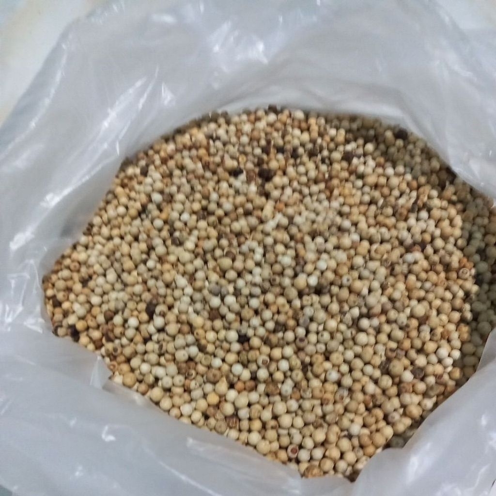 

LADA PEDES MENIR PUTIH SUPER