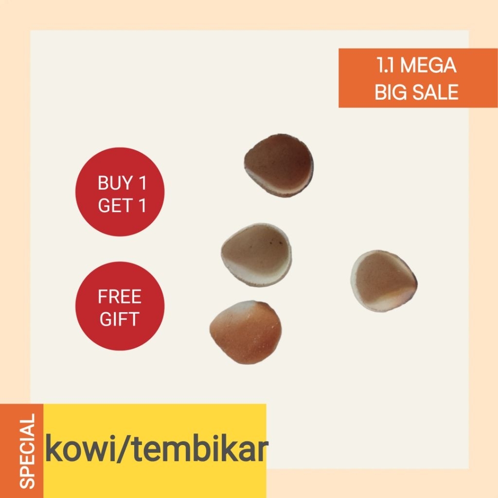 kowi/tembika ukuran 5 cm untuk lebur emas Padang isi 10 pcs