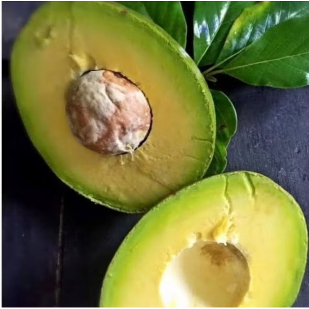 

alpukat mentega kondisi mentah 1KG SIAP KIRIM