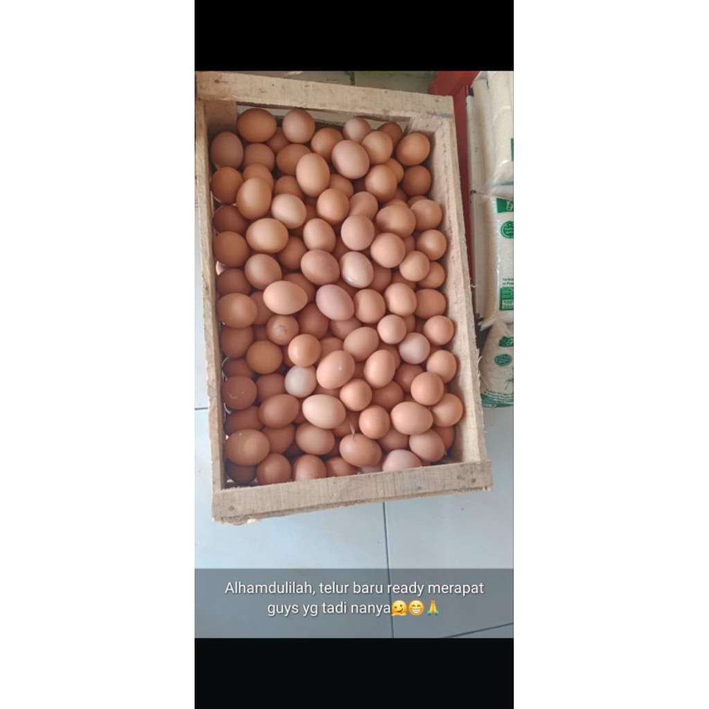 

telur