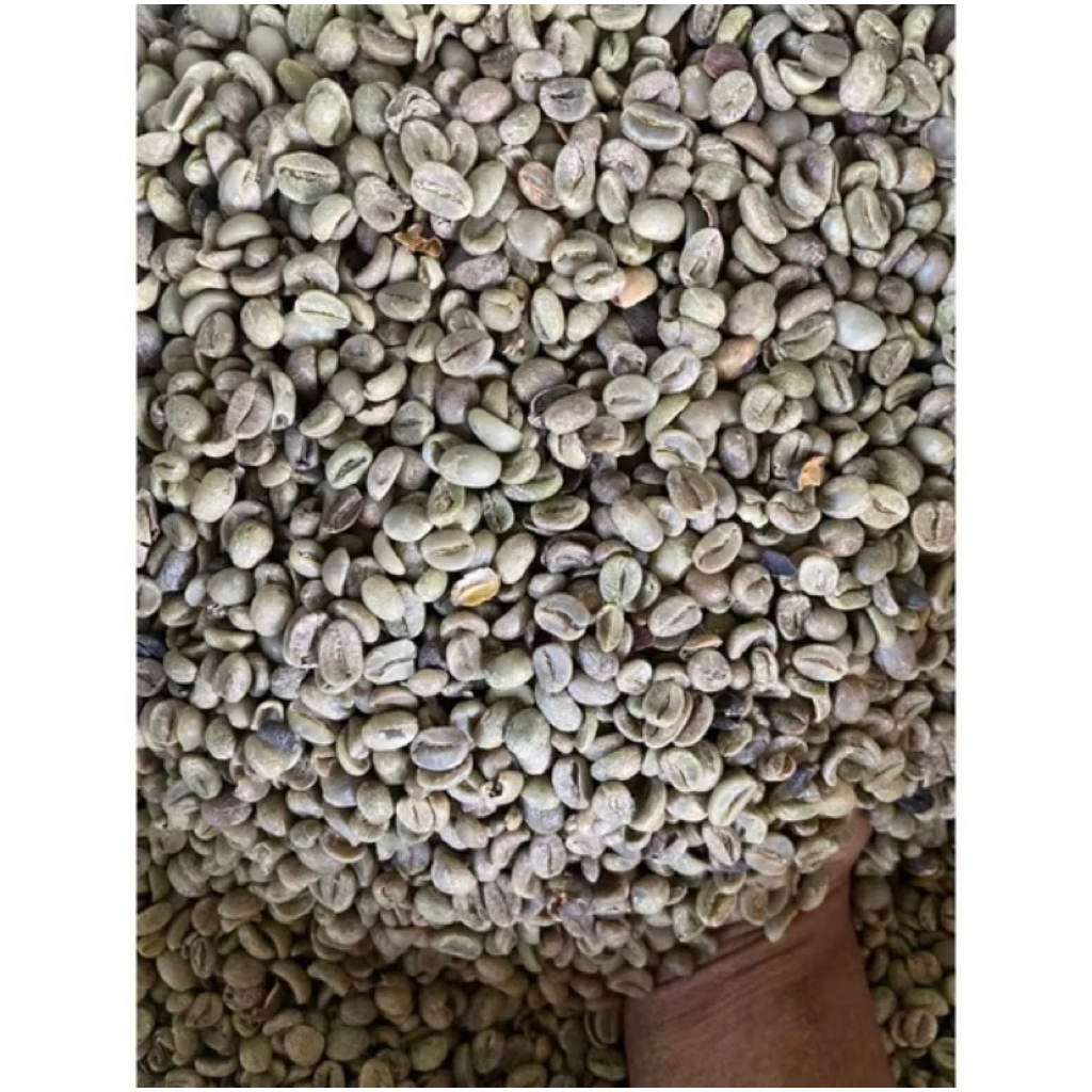 

BIJI KOPI GREEN BEAN ARABICA KOMERSIL 1 KG