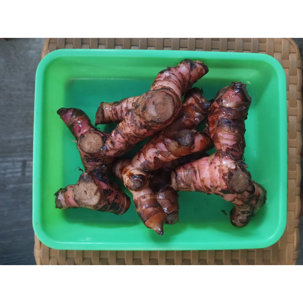 

Lengkuas Super Segar