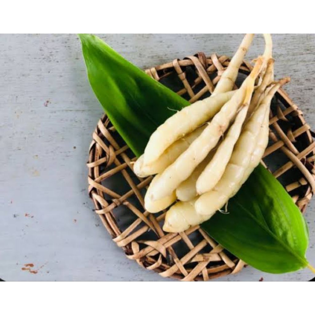 

umbi Garut per 500gm siap kirim