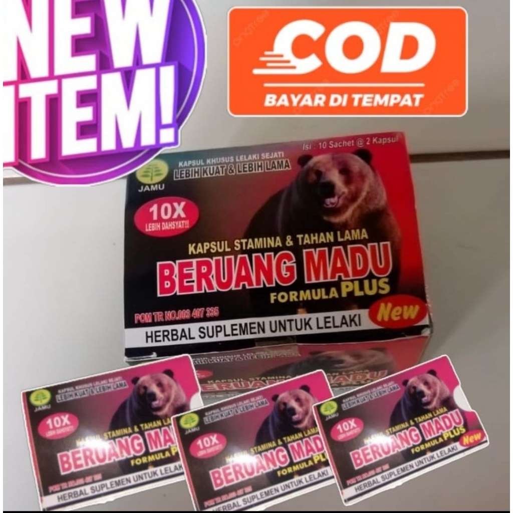 

Beruang madu asli original