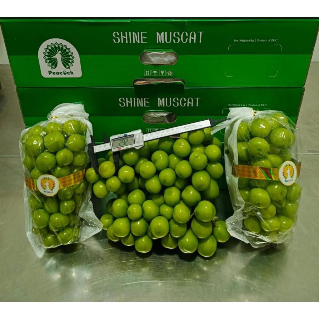 

Anggur Shine Muscat Peacock /kg