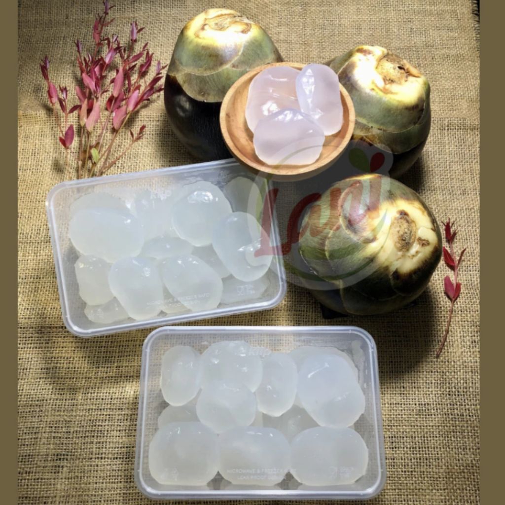 

Karomah Buah Lontar Muda Premium Segar (isi 20 biji) | Siap Konsumsi