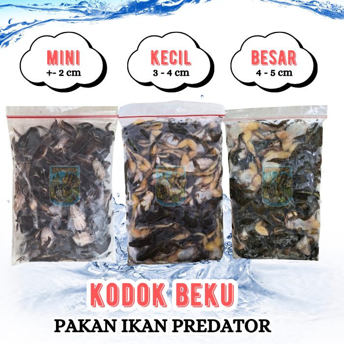 Kodok Sawah Beku Fresh 500gr